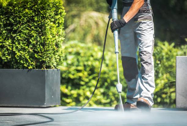 Best Driveway Pressure Washing  in Seatac, WA